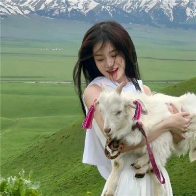 流放路上我靠直播养活了一家老小